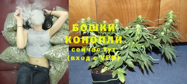 метадон Белокуриха