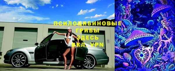 метадон Белокуриха