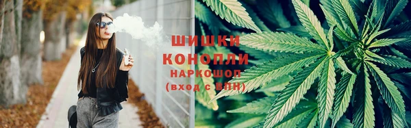 метадон Белокуриха