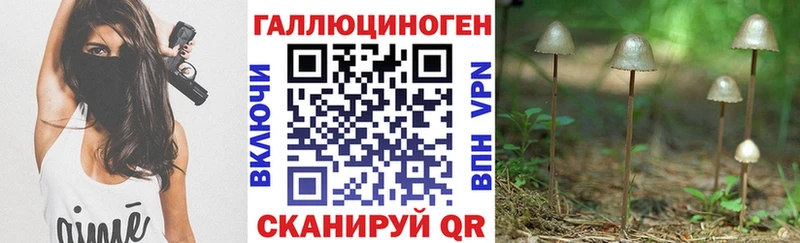 Галлюциногенные грибы MAGIC MUSHROOMS  Кудрово 